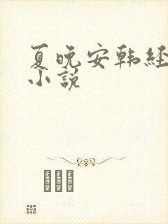 夏晚安韩经年的小说