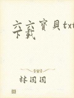 六六宝贝txt下载