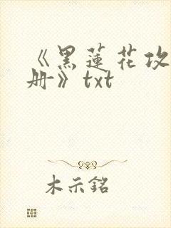 《黑莲花攻略手册》txt