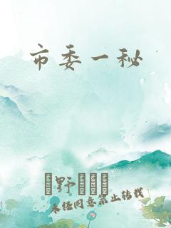 市委一秘