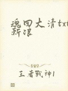 魂回大清txt新浪