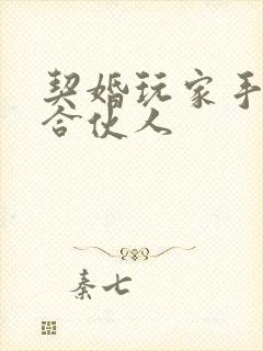 契婚玩家手册之合伙人