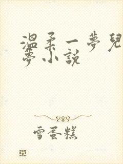 温柔一梦儿媳林梦小说
