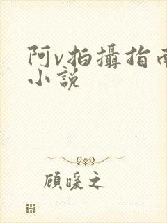 阿v拍摄指南说小说