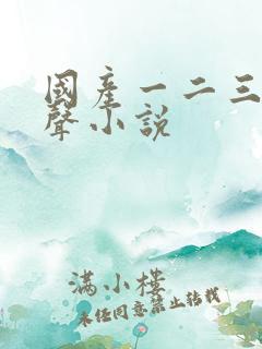 国产一二三区有声小说