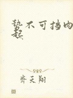 势不可挡肉到飞起