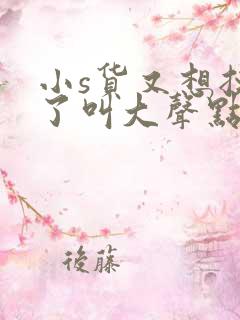 小s货又想挨c了叫大声点