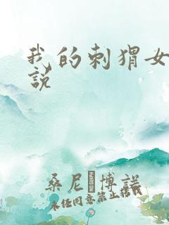 我的刺猬女孩小说