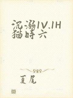 沉溺1V.1H猫时六