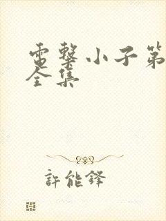 电击小子第二部全集