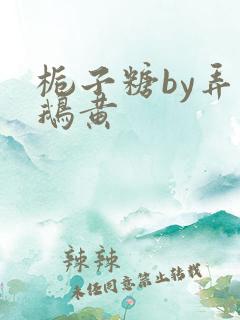 栀子糖by弄白鹅黄