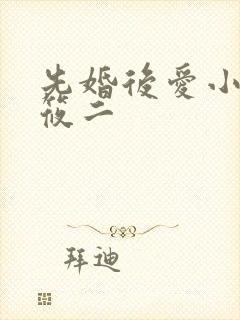 先婚后爱小说梦筱二