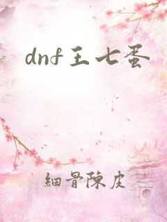 dnf王七蛋