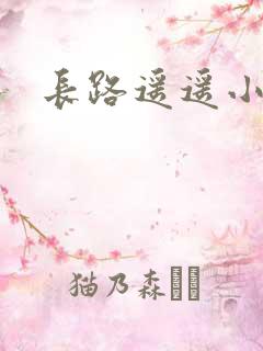 长路遥遥小说