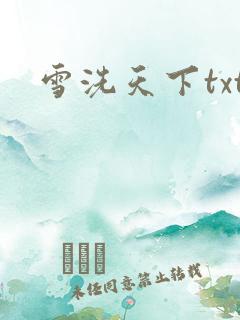 雪洗天下txt