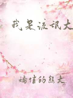 我是流氓大律师