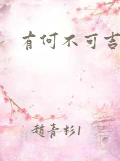 有何不可吉他谱