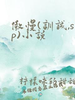 傲慢(训诫,sp)小说