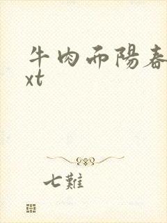 牛肉面阳春面txt