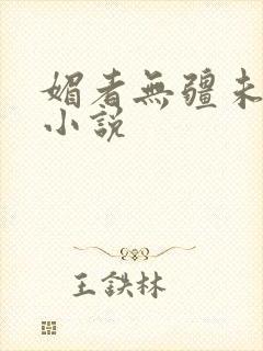 媚者无疆未删减小说