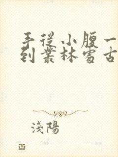 手从小腹一路开到丛林处古代