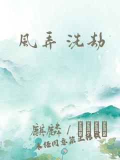 风弄 洗劫