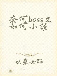 奈何boss又如何小说