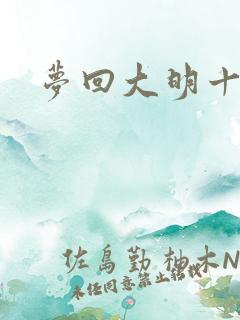 梦回大明十二年