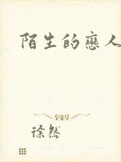 陌生的恋人小说