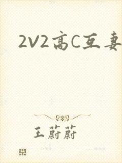 2V2高C互妻