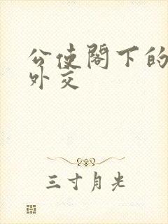 公使阁下的秘密外交