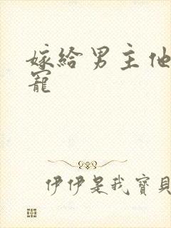 嫁给男主他爹肉宠