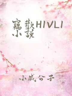 窃欢H1VL1小说
