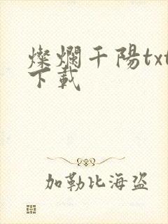 灿烂千阳txt下载