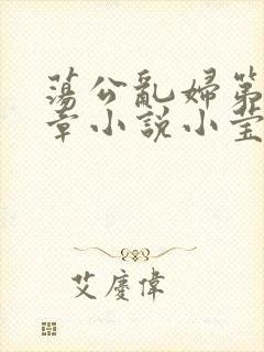 荡公乱妇第51章小说小莹