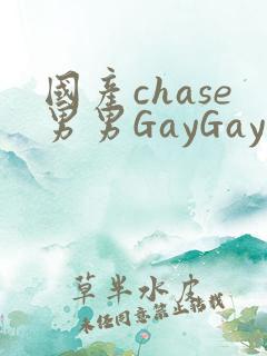 国产chase男男GayGay