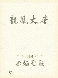 龙凤大唐