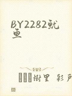 BY2282鱿鱼