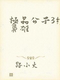 极品公子3续世枭雄