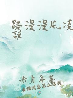 路漫漫风凌轩小说
