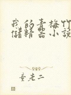 我的青梅竹马是储精器小说