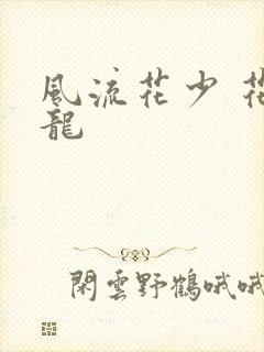 风流花少 花睿龙