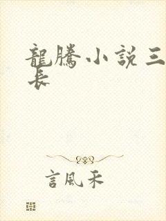 龙腾小说三宝局长