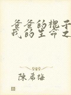 爸爸的棍子顶着我的生命之苏苗