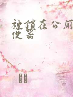 被锁在公厕当坐便器