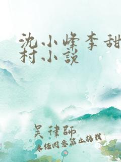沈小峰李甜的乡村小说