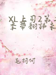 XL上司2第二季带翻译未增