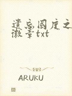 遗忘国度之神秘徽章txt