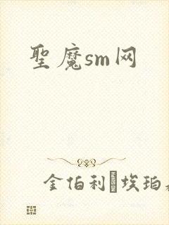 圣魔sm网