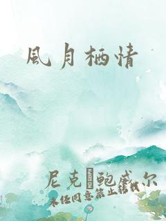 风月栖情